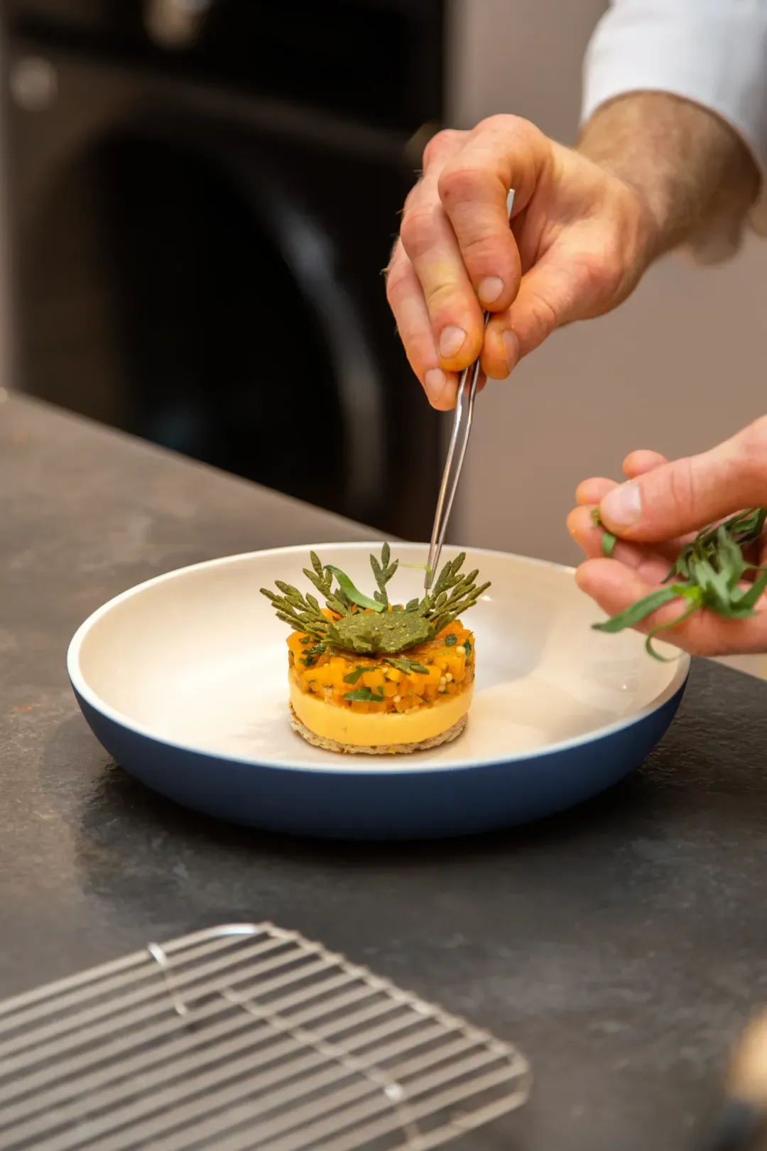 Artisanal Culinary Plating
